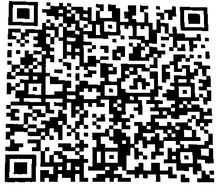 Sanjri Youth Foundation UPI QR code — scan to donate